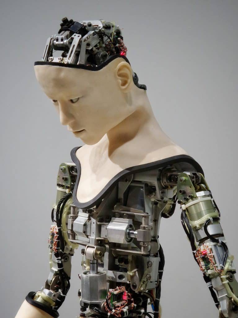 A human looking robot